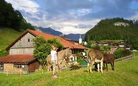 Haus Willi